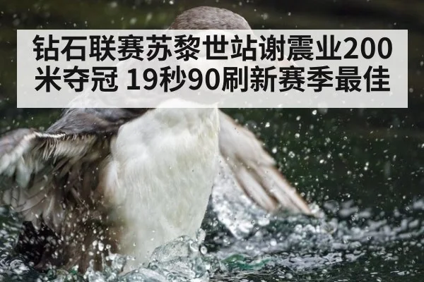 钻石联赛苏黎世站谢震业200米夺冠 19秒90刷新赛季最佳 - nine game