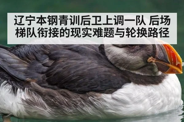 辽宁本钢青训后卫上调一队 后场梯队衔接的现实难题与轮换路径